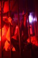 /album/soiree-du-26-septembre-2014/soare-1041-jpg/